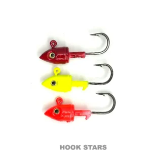 JIG HEAD 30G HEAVY HOOKS